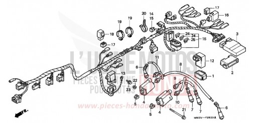 IMPIANTO ELETTRICO CB750F2W di 1998